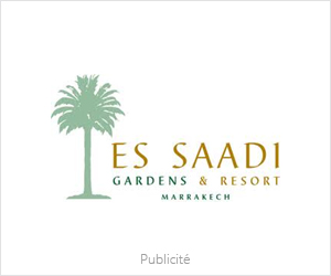 Hôtel Es Saadi
